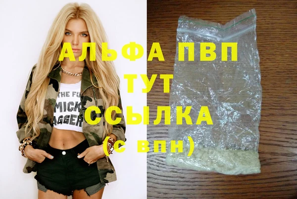 PSILOCYBIN Балабаново