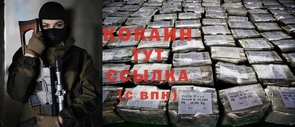 спайс Баксан
