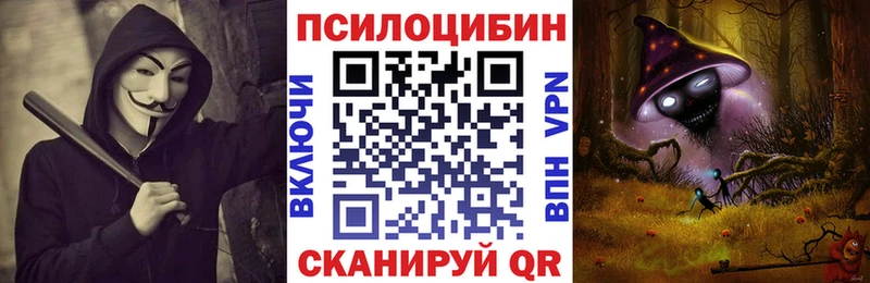 Галлюциногенные грибы Psilocybe  Гороховец 